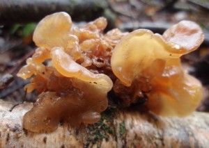 P9290011.JPG