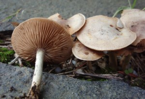 P9300027.JPG