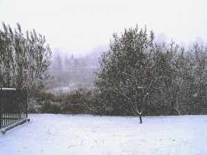 PB020002.JPG