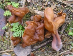 PB020012.JPG