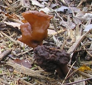 PB020014.JPG