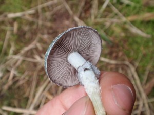 PB030684.JPG
