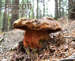 PF-2011.jpg