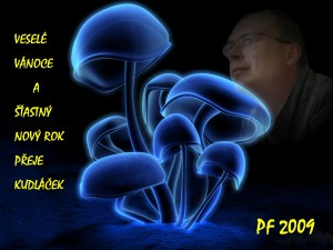 PF60.jpg