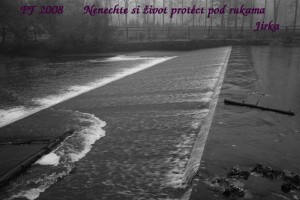 PF 2008.jpg
