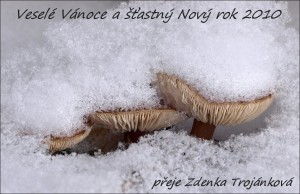 PF__2010.jpg