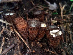 PHOTO_20160716_114630.jpg