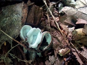 PHOTO_20160813_154234.jpg