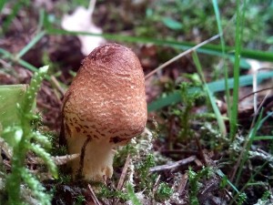 PHOTO_20160823_153947.jpg