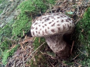 PHOTO_20160823_174359.jpg