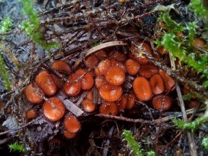 PHOTO_20161008_135654.jpg