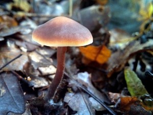 PHOTO_20161008_145822.jpg