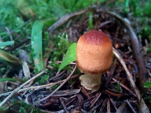 PHOTO_20161010_090944.jpg