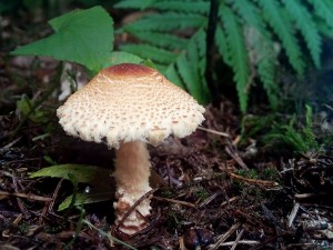PHOTO_20161010_091221.jpg