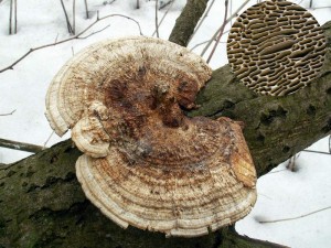 PICT0002.JPG