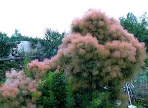 PICT0004-2.JPG