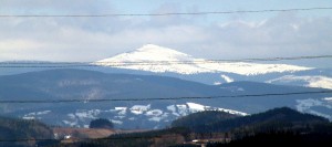PICT0004.JPG