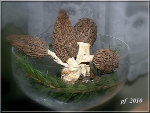 PICT0006-1.JPG