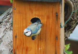 PICT0011.JPG