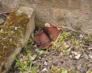 PICT0049.JPG