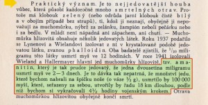 pilat-usak-2.jpg