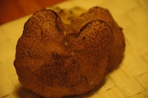 Resize of DSC_7891.JPG