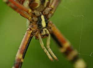 SG109044.jpg