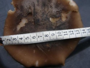 Strmlka mlenka 3.jpg