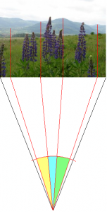 t_dsc01835_104.PNG