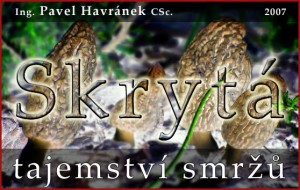 tajemstvi_smrzu.jpg
