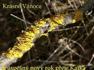 terovnice p.f.jpg
