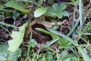 terovnice stat 15.4.2011 1.JPG