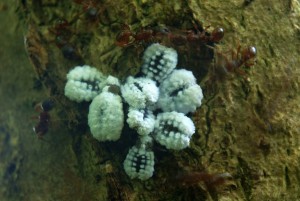 u008.jpg