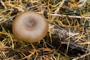 UnKnown01.jpg