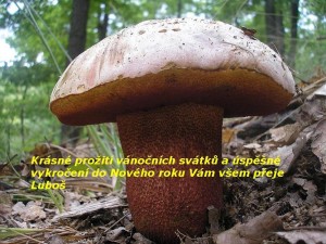 Vnon.jpg