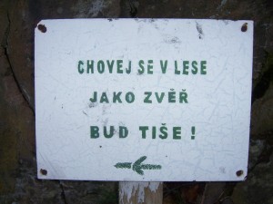 vzva.jpg