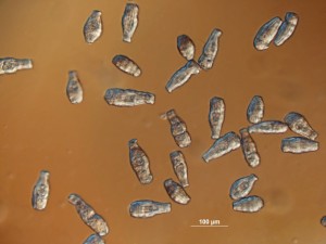 xxxx-1.jpg
