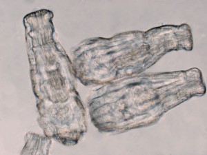 xxxx-4.jpg