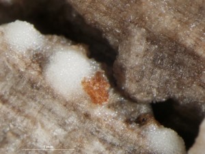 xxxx-5.jpg