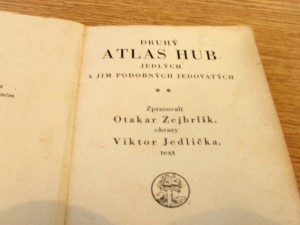 zEjbrlk Jedlika2.jpg