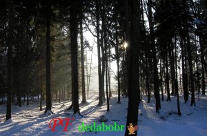 Zimn nlada.jpg