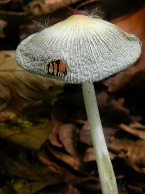 DSCN1393.jpg