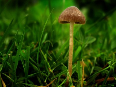 DSCN1816.jpg