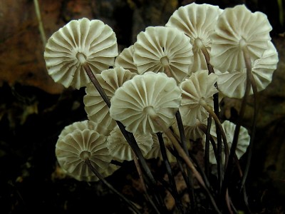 DSCN2277.jpg