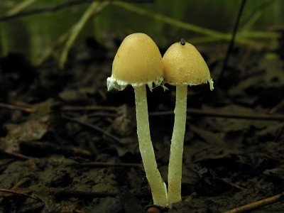 DSCN2524.jpg