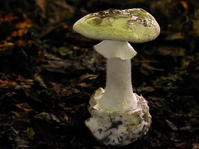 DSCN3119.jpg