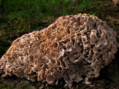 DSCN3393.jpg