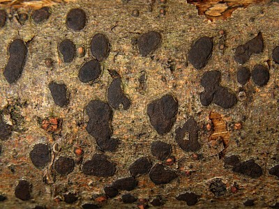 DSCN4805.jpg