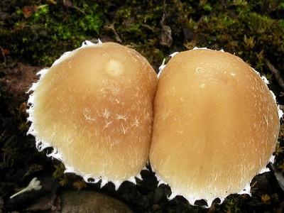 P9260072.jpg