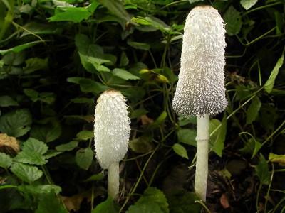 PA010160.jpg